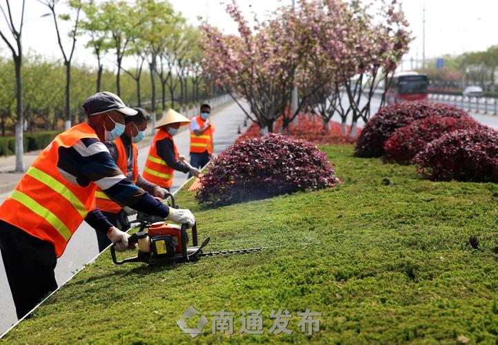 绿道建设与园林管理：面试问题深度解析，打造人与自然和谐共生之地！