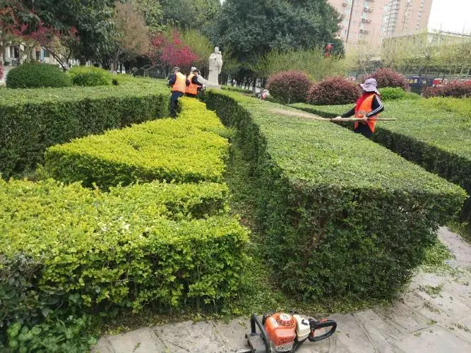别墅花园园林景观设计方案