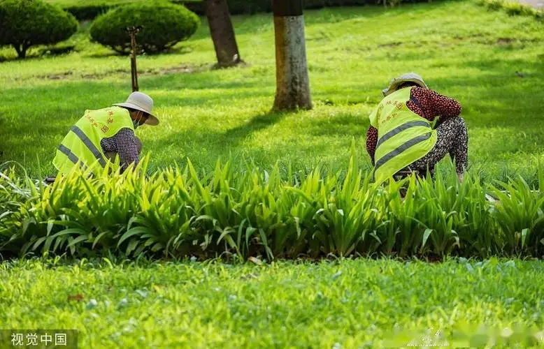 园林绿化工程质量验收规范是什么？