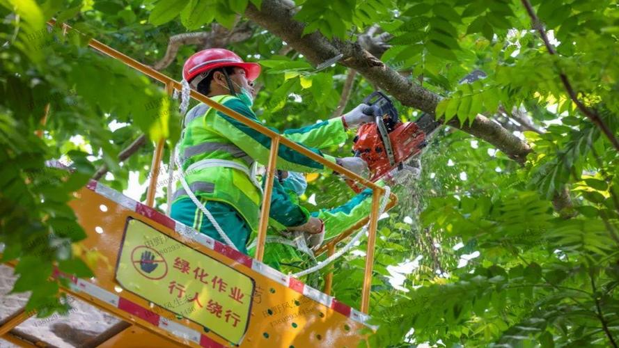 如何在有限空间内实现多功能的小型园林绿化？